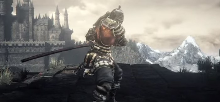 Ds1 wanderer remastered dex