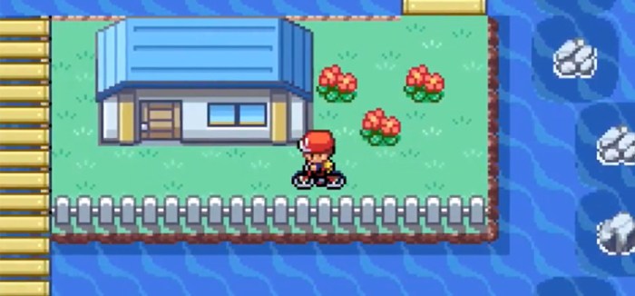 Fishing rod pokemon red