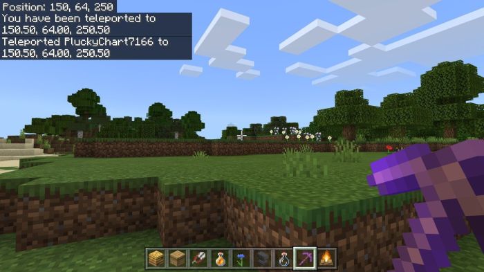 Minecraft tp to player