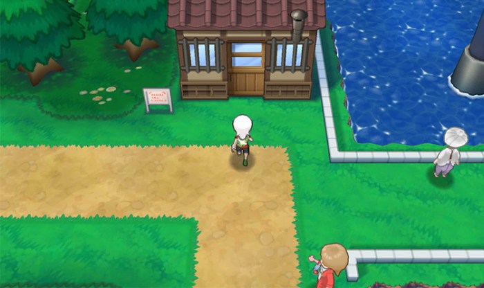 Omega ruby pokemon house