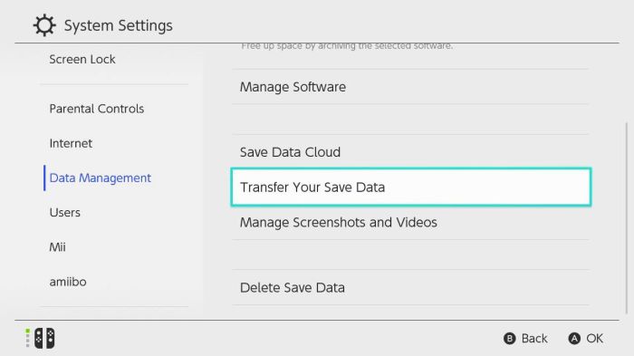Download save data switch
