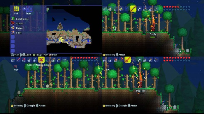 How to zoom out terraria