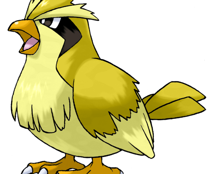 Shiny pidgey go let pokemon eevee pikachu