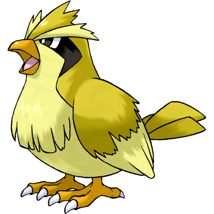 Shiny pidgey go let pokemon eevee pikachu