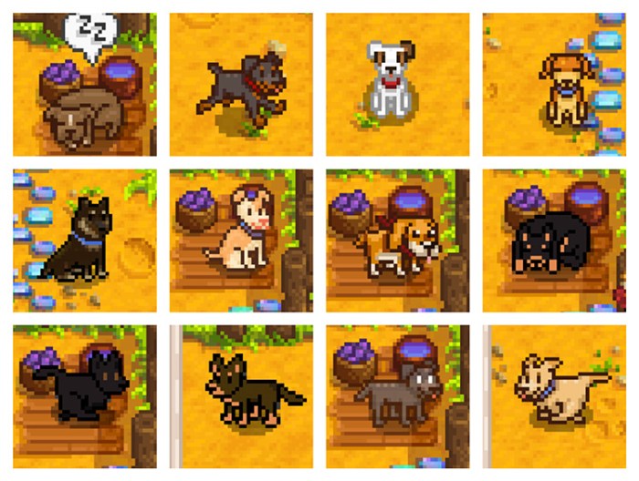 Stardew nexusmods nexus smapi chickens fandomspot