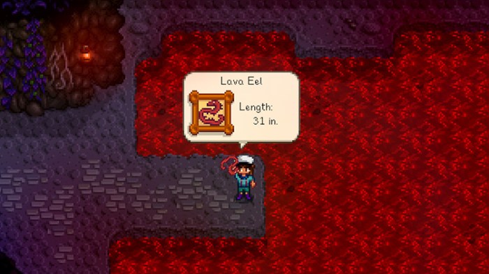 Lava eel stardew