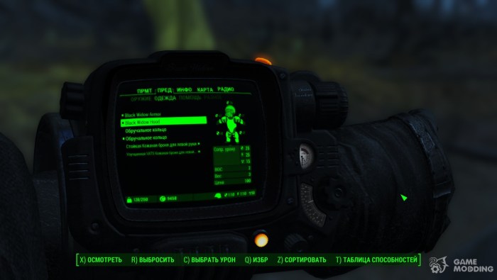 Black widow fallout 4