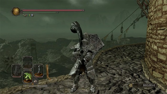 Dragon tooth dark souls 1