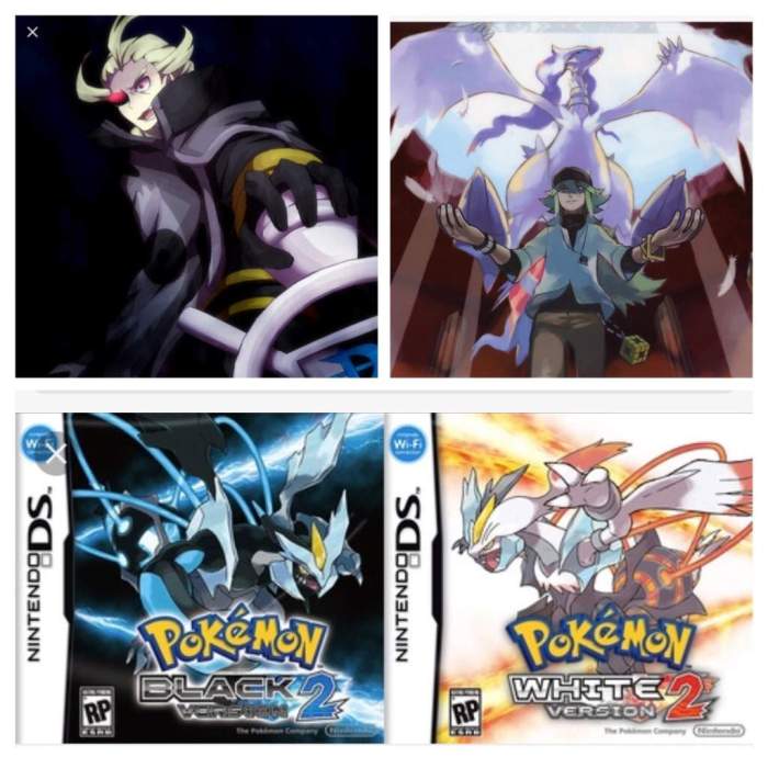 Team pokemon black 2