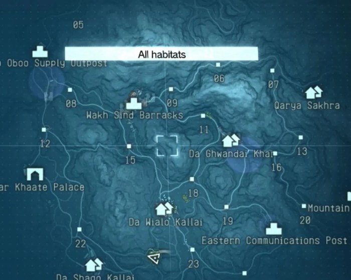 Metal gear solid v map