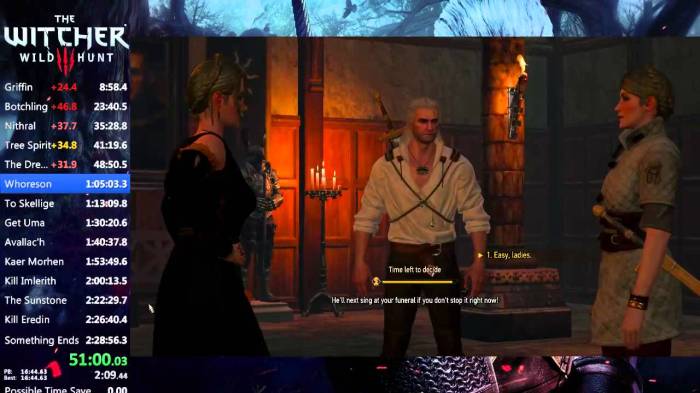 Speed run witcher 3