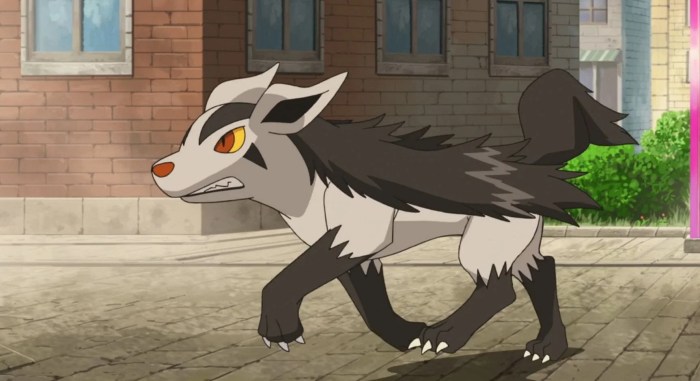 Mightyena moveset gen 3