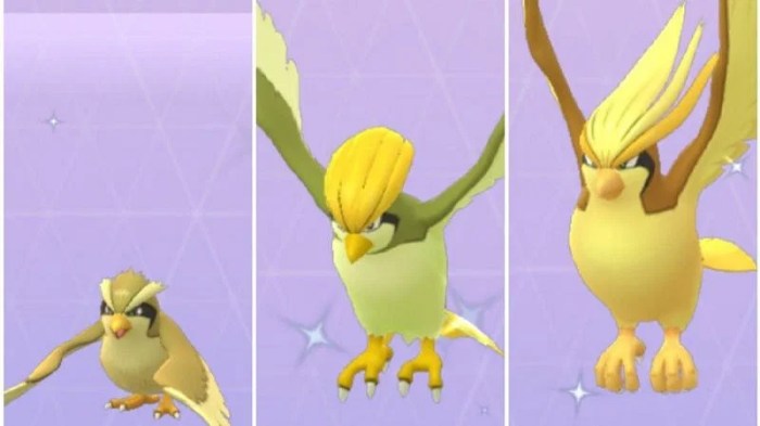 Shiny pidgey vs normal