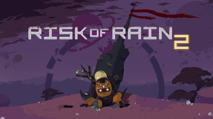 Risk rain