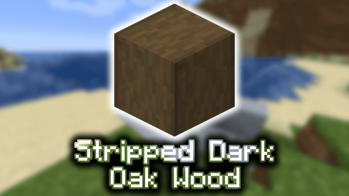 Stripped dark oak log