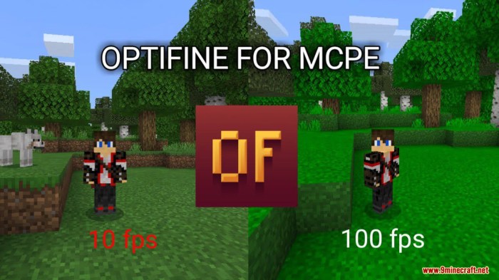 Is optifine client side