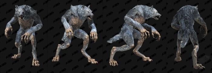 Diablo 2 werewolf druid