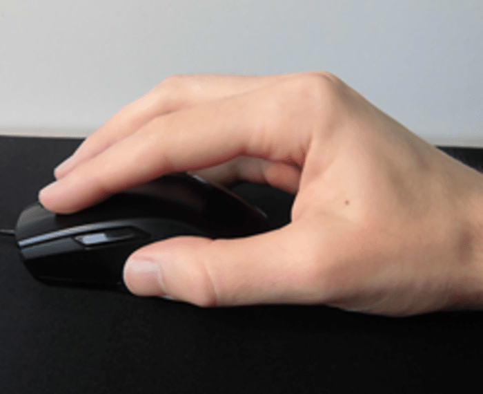 Mouse for fingertip grip