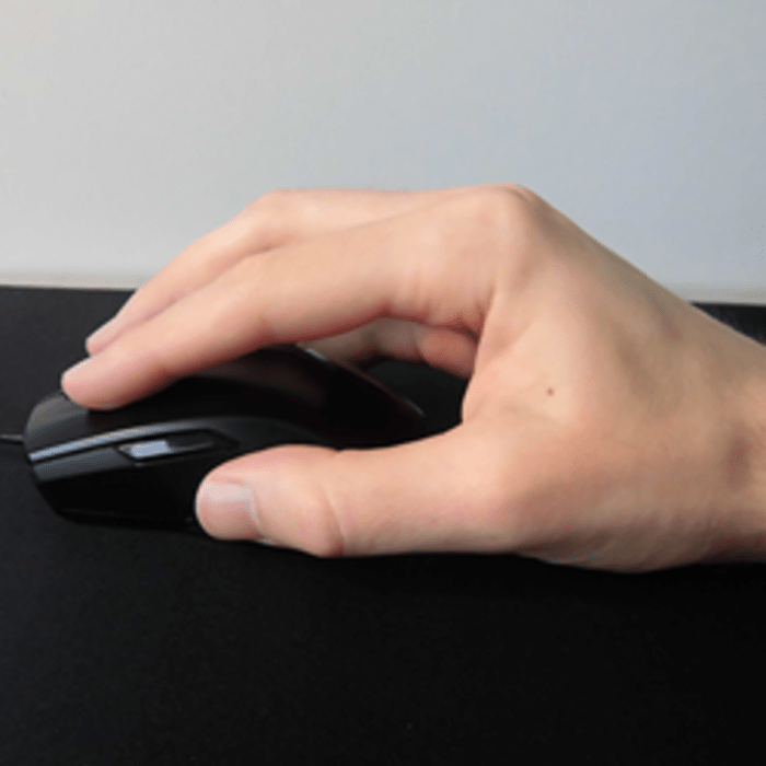 Mouse for fingertip grip