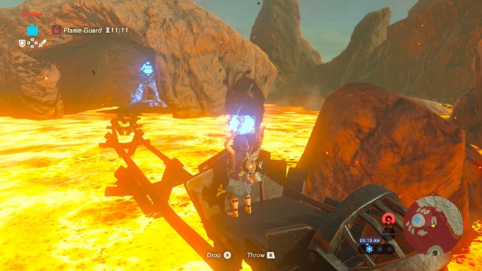 Blue flame botw shrine