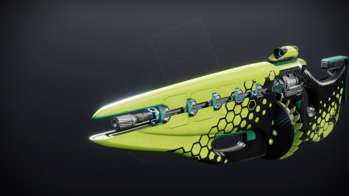 Destiny 2 unknown exotic