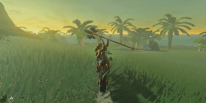 Botw things to do first