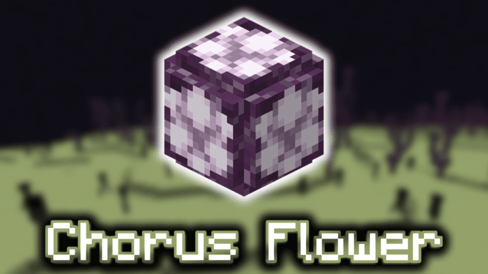 How to get chorus flower