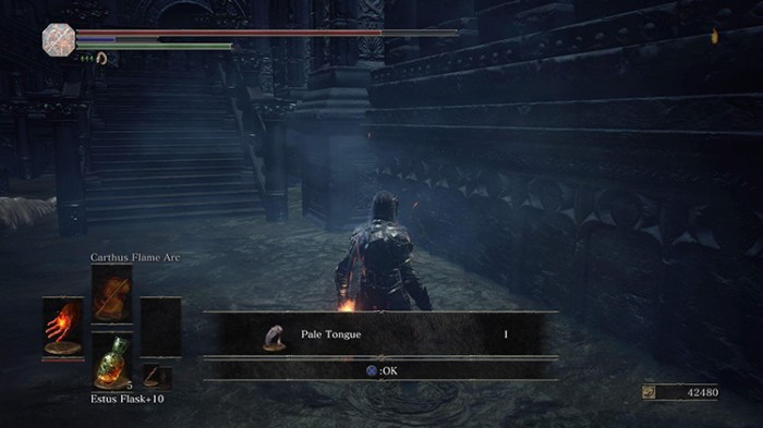 Pale tongue dark souls 3