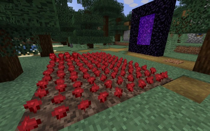 Nether wart