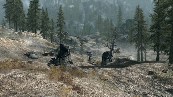 Skyrim broken limb camp