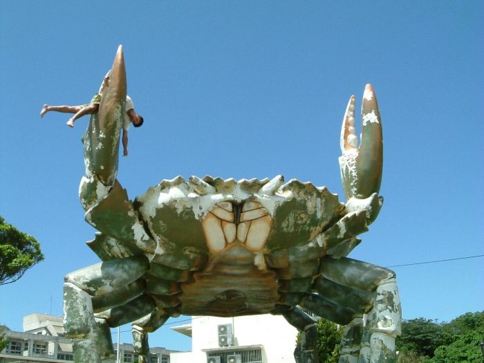 Giant enemy crab genshin