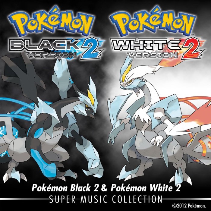 Pokemon black 2 daycare