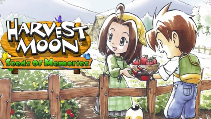 Harvest moon games wii