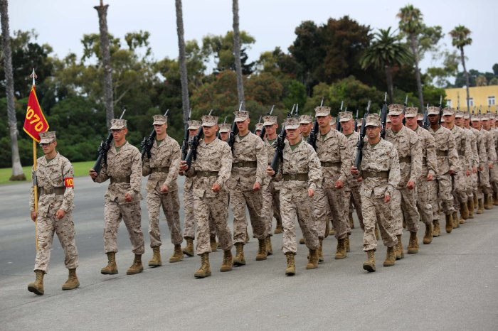 Marine marines corps platoon drill recruit company recruits battalion cpl marino walter ii training depot 1st members
