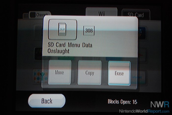 Wii sd card save