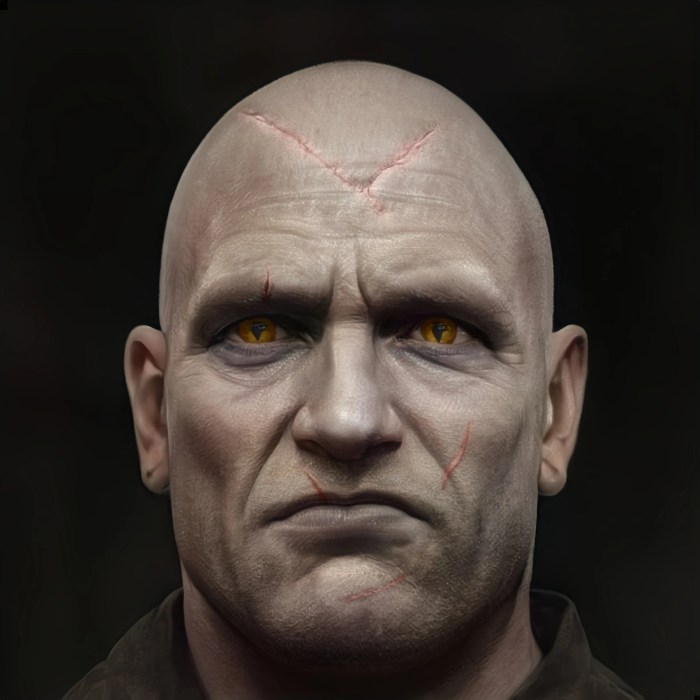 The witcher 3 letho