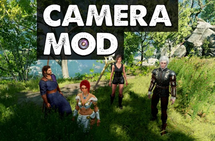 Bg3 free camera mod