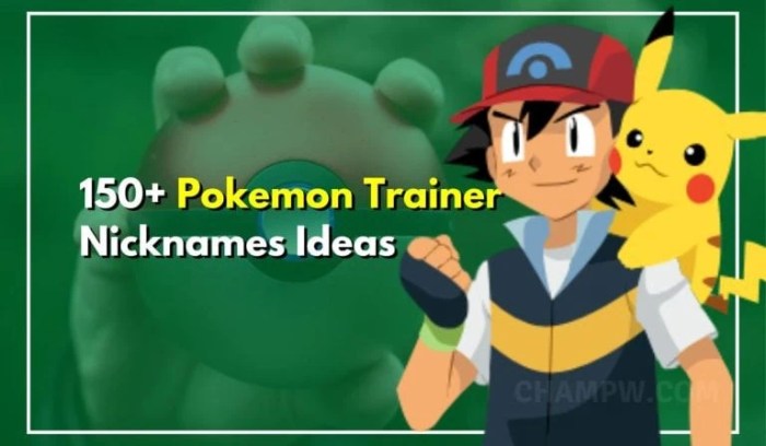 Trainer name pokemon go