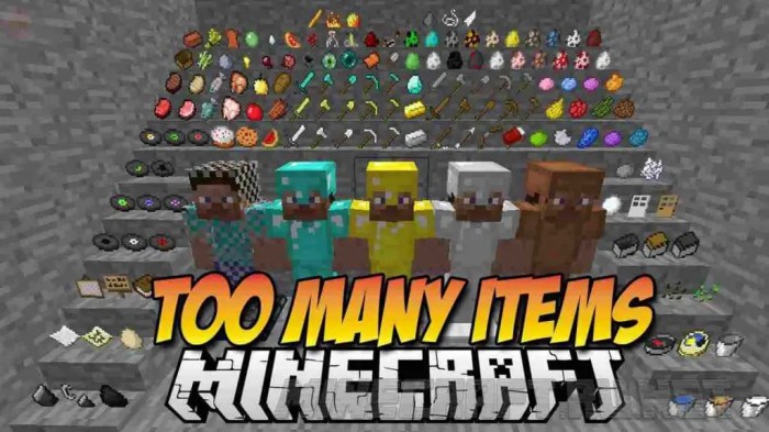 Mod toomanyitems many items too minecraft