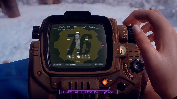 Fallout 4 pip boy mod