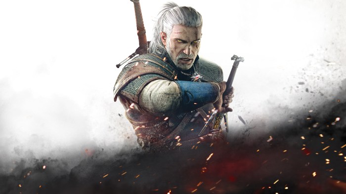 The witcher 3 key steam