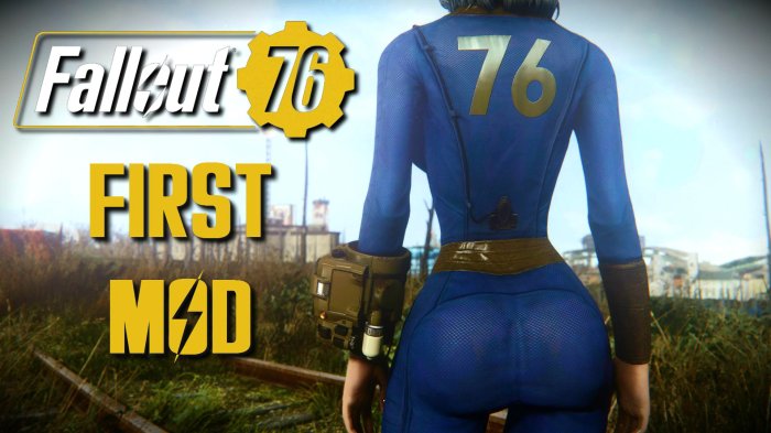 Does fallout 76 have mods