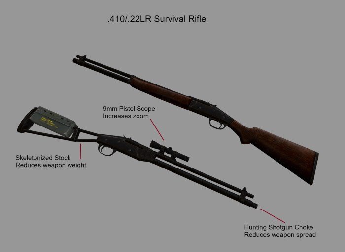 Survival rifle new vegas