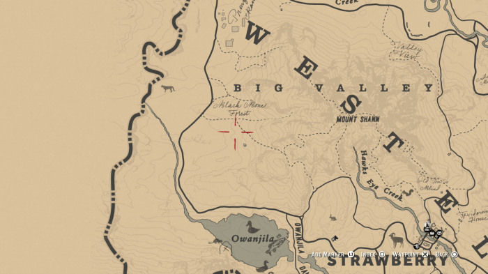 Where to hunt bears rdr2