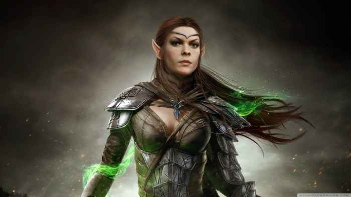 Skyrim wood elf female