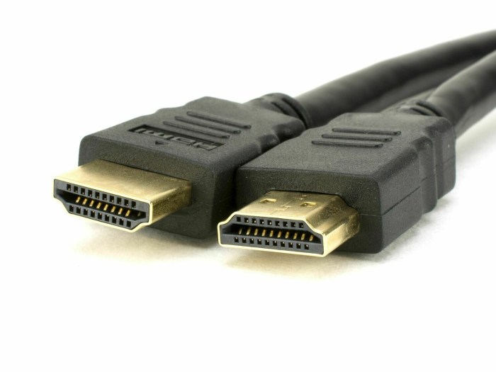 Hdmi cord for switch