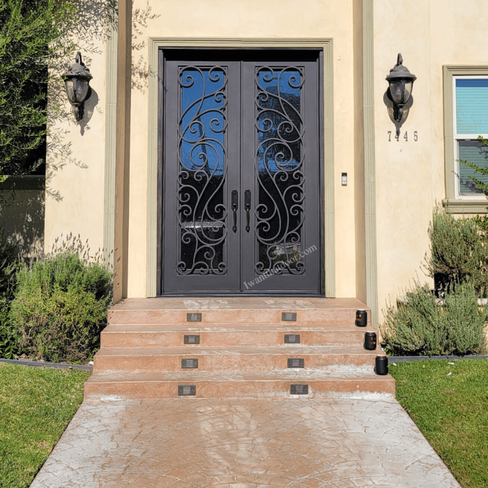 Double iron doors bg3