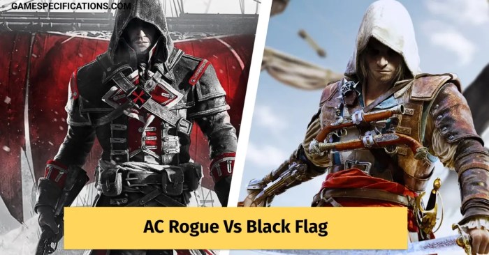 Black flag vs rogue