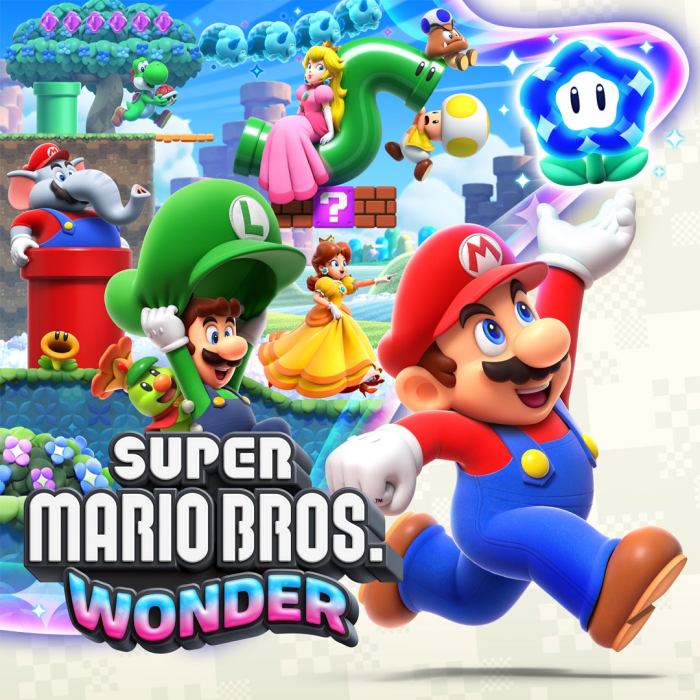 Mario wonder post game