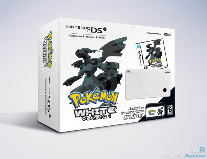 Pokemon black white dsi